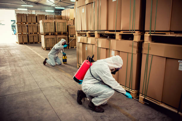Best Wasp Removal Services  in Mdleton, ID