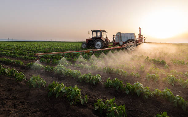 Pest Control Cost in Middleton, ID
