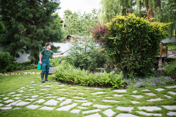 Best Termite Control Services  in Mdleton, ID