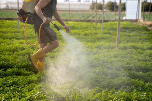 Best Commercial Pest Control Services  in Mdleton, ID