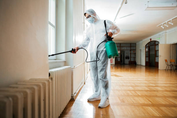 Best Affordable Pest Control Services  in Mdleton, ID