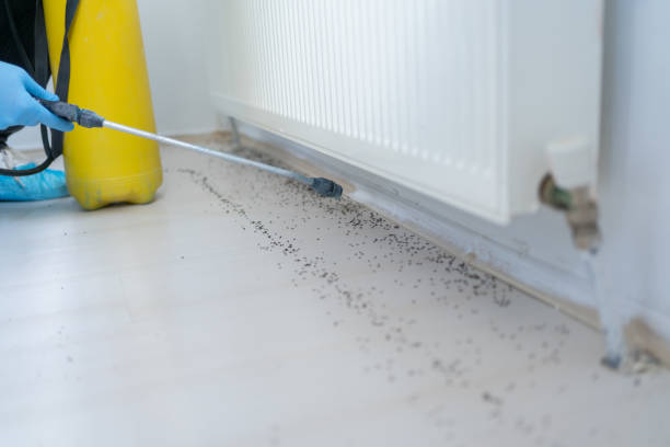 Best Exterminator Services  in Mdleton, ID