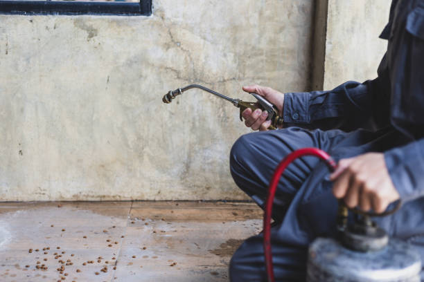 Best Affordable Pest Control Services  in Mdleton, ID